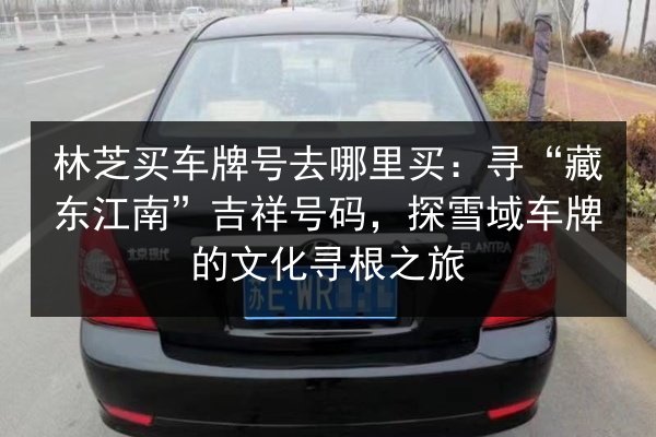 林芝买车牌号去哪里买:寻“藏东江南”吉祥号码,探雪域车牌的文化寻根之旅 第2张 林芝买车牌号去哪里买:寻“藏东江南”吉祥号码,探雪域车牌的文化寻根之旅 第2张