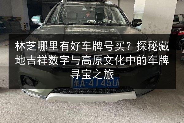 林芝哪里有好车牌号买？探秘藏地吉祥数字与高原文化中的车牌寻宝之旅 第3张