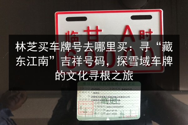 林芝买车牌号去哪里买:寻“藏东江南”吉祥号码,探雪域车牌的文化寻根之旅 第3张 林芝买车牌号去哪里买:寻“藏东江南”吉祥号码,探雪域车牌的文化寻根之旅 第3张