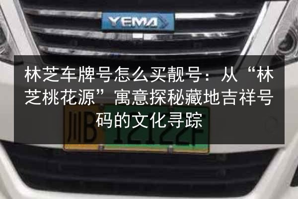 林芝车牌号怎么买靓号：从“林芝桃花源”寓意探秘藏地吉祥号码的文化寻踪 第2张