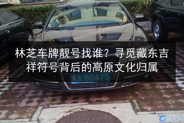 林芝车牌靓号找谁?寻觅藏东吉祥符号背后的高原文化归属 第2张 林芝车牌靓号找谁?寻觅藏东吉祥符号背后的高原文化归属 第2张