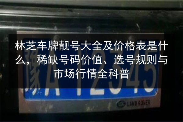 林芝车牌靓号大全及价格表是什么,稀缺号码价值、选号规则与市场行情全科普 第3张 林芝车牌靓号大全及价格表是什么,稀缺号码价值、选号规则与市场行情全科普 第3张