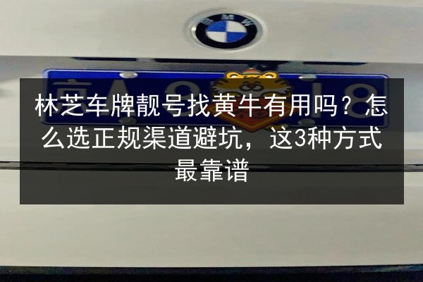 林芝车牌靓号找黄牛有用吗？怎么选正规渠道避坑，这3种方式最靠谱 第2张