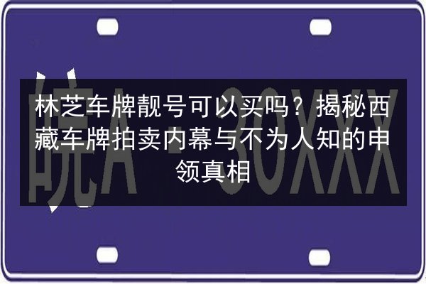 林芝车牌靓号可以买吗?揭秘西藏车牌拍卖内幕与不为人知的申领真相 第2张 林芝车牌靓号可以买吗?揭秘西藏车牌拍卖内幕与不为人知的申领真相 第2张
