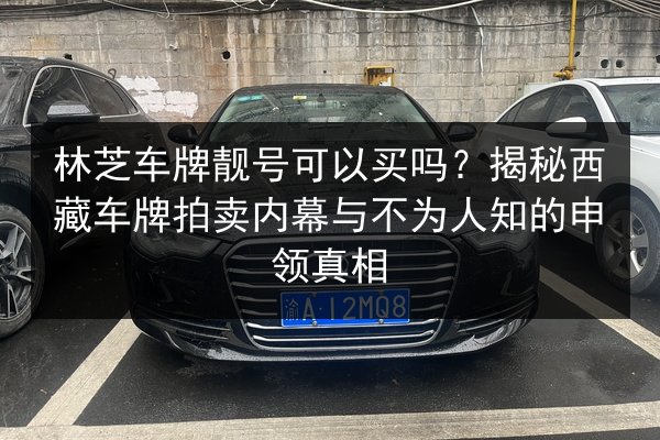 林芝车牌靓号可以买吗?揭秘西藏车牌拍卖内幕与不为人知的申领真相 第3张 林芝车牌靓号可以买吗?揭秘西藏车牌拍卖内幕与不为人知的申领真相 第3张