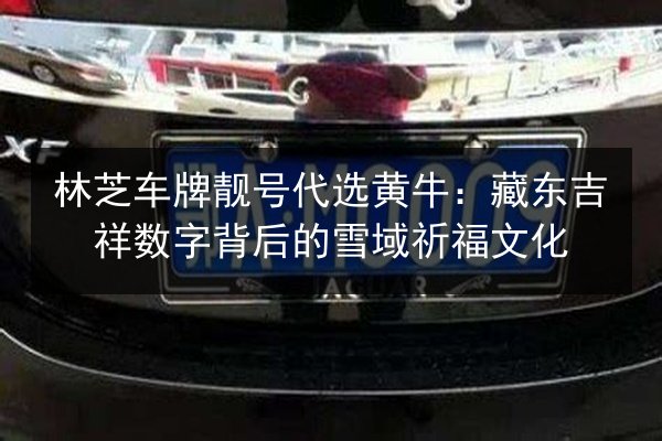 林芝车牌靓号代选黄牛：藏东吉祥数字背后的雪域祈福文化