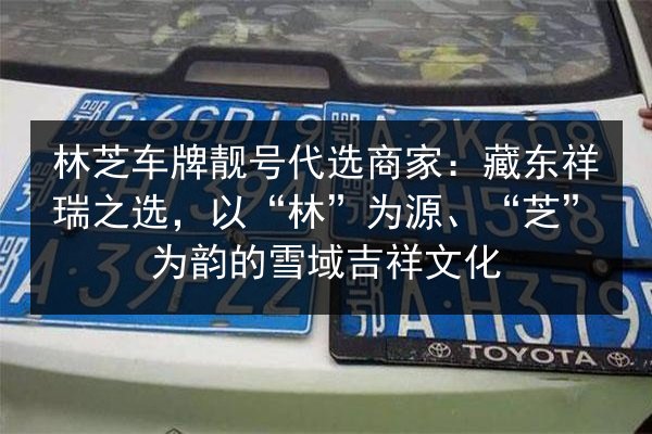 林芝车牌靓号代选商家:藏东祥瑞之选,以“林”为源、“芝”为韵的雪域吉祥文化 第2张 林芝车牌靓号代选商家:藏东祥瑞之选,以“林”为源、“芝”为韵的雪域吉祥文化 第2张