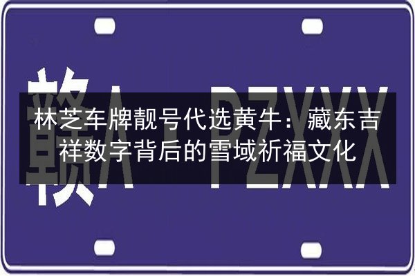 林芝车牌靓号代选黄牛:藏东吉祥数字背后的雪域祈福文化 第2张 林芝车牌靓号代选黄牛:藏东吉祥数字背后的雪域祈福文化 第2张
