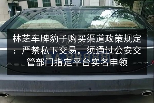 林芝车牌豹子购买渠道政策规定：严禁私下交易，须通过公安交管部门指定平台实名申领 第3张