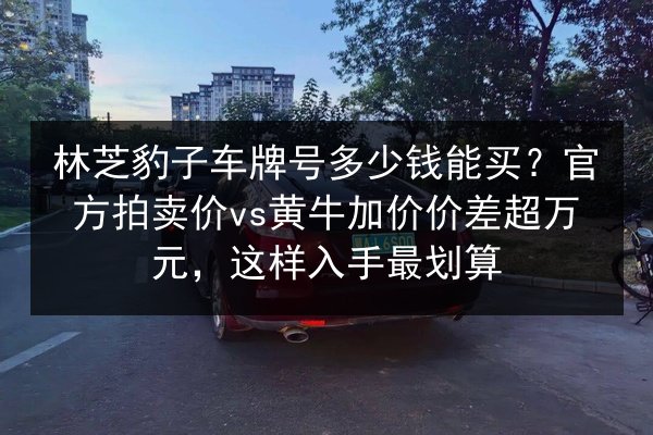 林芝豹子车牌号多少钱能买?官方拍卖价vs黄牛加价价差超万元,这样入手最划算 第3张 林芝豹子车牌号多少钱能买?官方拍卖价vs黄牛加价价差超万元,这样入手最划算 第3张
