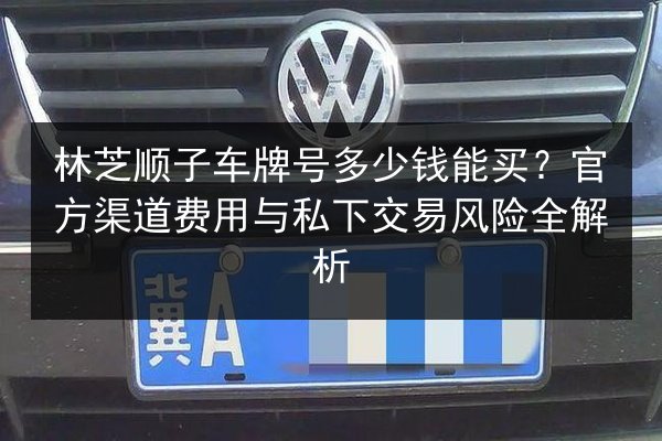 林芝顺子车牌号多少钱能买？官方渠道费用与私下交易风险全解析 第2张