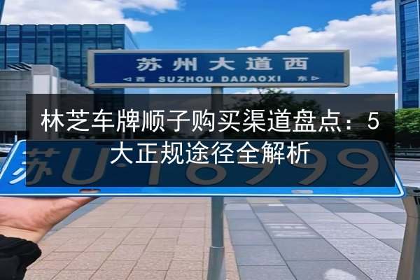 林芝车牌顺子购买渠道盘点：5大正规途径全解析 第2张