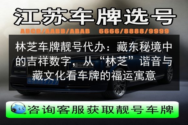 林芝车牌靓号代办:藏东秘境中的吉祥数字,从“林芝”谐音与藏文化看车牌的福运寓意 第2张 林芝车牌靓号代办:藏东秘境中的吉祥数字,从“林芝”谐音与藏文化看车牌的福运寓意 第2张