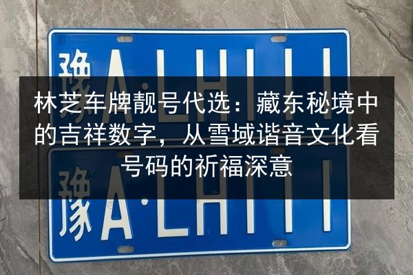 林芝车牌靓号代选：藏东秘境中的吉祥数字，从雪域谐音文化看号码的祈福深意