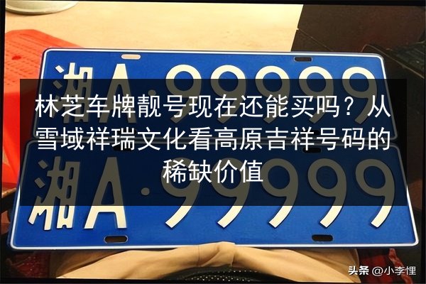林芝车牌靓号现在还能买吗？从雪域祥瑞文化看高原吉祥号码的稀缺价值 第1张