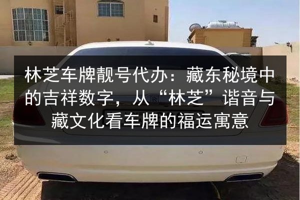林芝车牌靓号代办:藏东秘境中的吉祥数字,从“林芝”谐音与藏文化看车牌的福运寓意 第3张 林芝车牌靓号代办:藏东秘境中的吉祥数字,从“林芝”谐音与藏文化看车牌的福运寓意 第3张