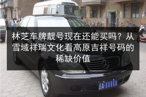 林芝车牌靓号现在还能买吗？从雪域祥瑞文化看高原吉祥号码的稀缺价值 第3张
