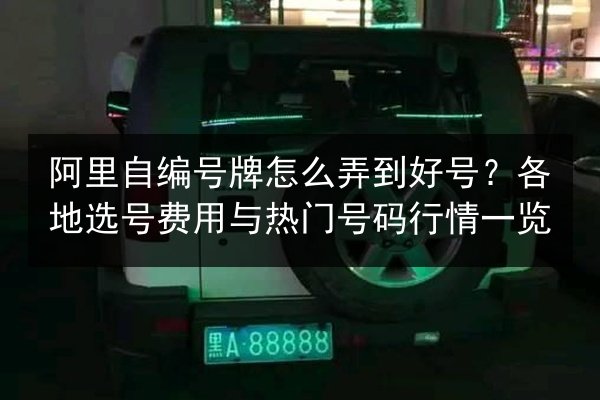 阿里自编号牌怎么弄到好号?各地选号费用与热门号码行情一览 第2张 阿里自编号牌怎么弄到好号?各地选号费用与热门号码行情一览 第2张