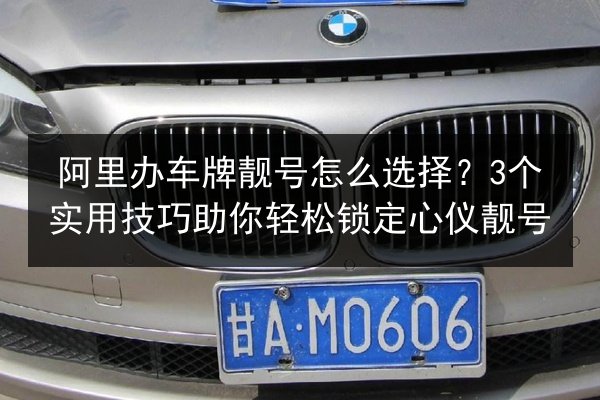 阿里办车牌靓号怎么选择？3个实用技巧助你轻松锁定心仪靓号 第2张