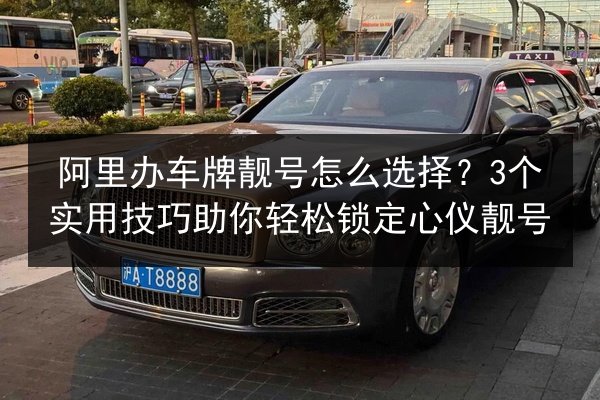 阿里办车牌靓号怎么选择？3个实用技巧助你轻松锁定心仪靓号 第3张