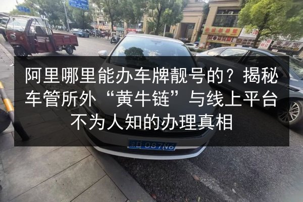 阿里哪里能办车牌靓号的?揭秘车管所外“黄牛链”与线上平台不为人知的办理真相 第2张 阿里哪里能办车牌靓号的?揭秘车管所外“黄牛链”与线上平台不为人知的办理真相 第2张