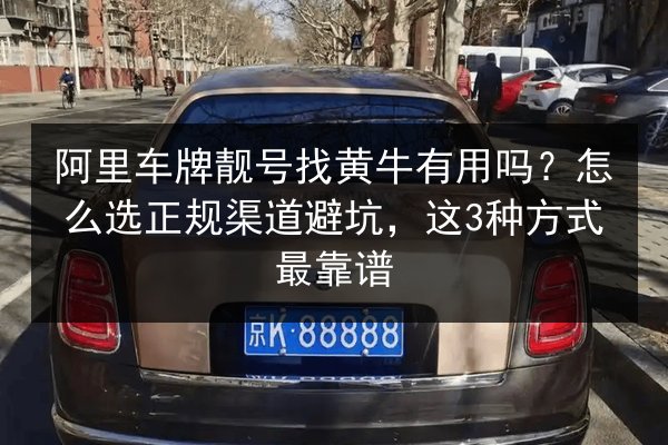 阿里车牌靓号找黄牛有用吗？怎么选正规渠道避坑，这3种方式最靠谱 第2张