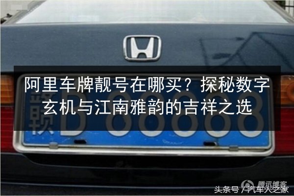 阿里车牌靓号在哪买?探秘数字玄机与江南雅韵的吉祥之选 第2张 阿里车牌靓号在哪买?探秘数字玄机与江南雅韵的吉祥之选 第2张