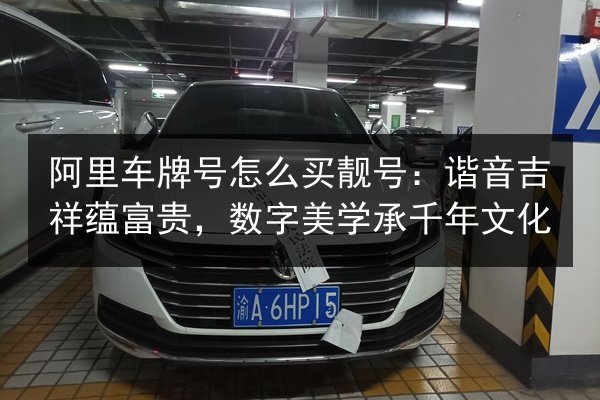 阿里车牌号怎么买靓号:谐音吉祥蕴富贵,数字美学承千年文化 第3张 阿里车牌号怎么买靓号:谐音吉祥蕴富贵,数字美学承千年文化 第3张