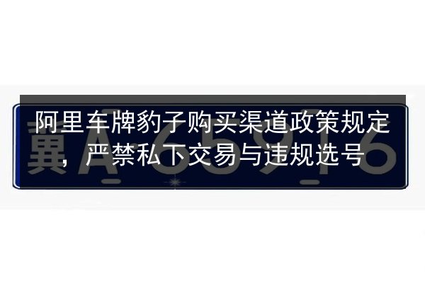 阿里车牌豹子购买渠道政策规定，严禁私下交易与违规选号 第1张