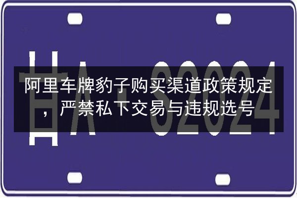 阿里车牌豹子购买渠道政策规定，严禁私下交易与违规选号 第2张