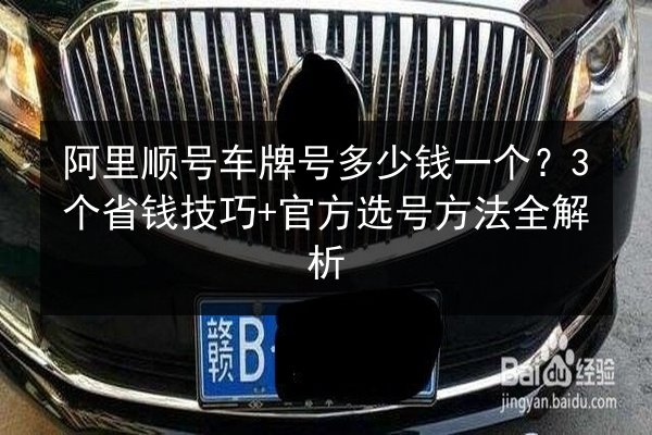 阿里顺号车牌号多少钱一个？3个省钱技巧+官方选号方法全解析 第2张
