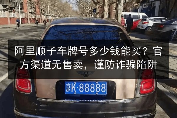 阿里顺子车牌号多少钱能买?官方渠道无售卖,谨防诈骗陷阱 第2张 阿里顺子车牌号多少钱能买?官方渠道无售卖,谨防诈骗陷阱 第2张