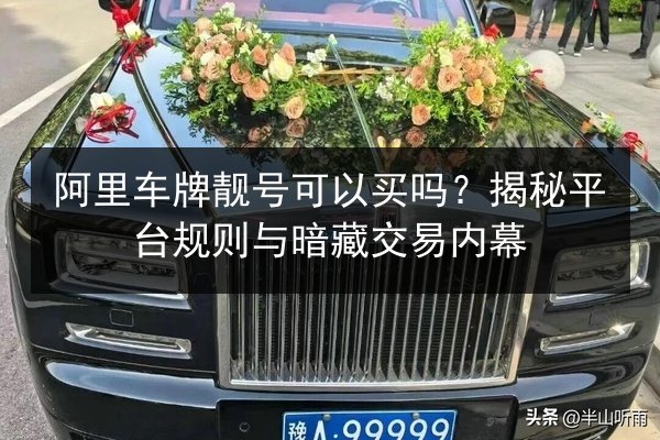 阿里车牌靓号可以买吗？揭秘平台规则与暗藏交易内幕 第2张