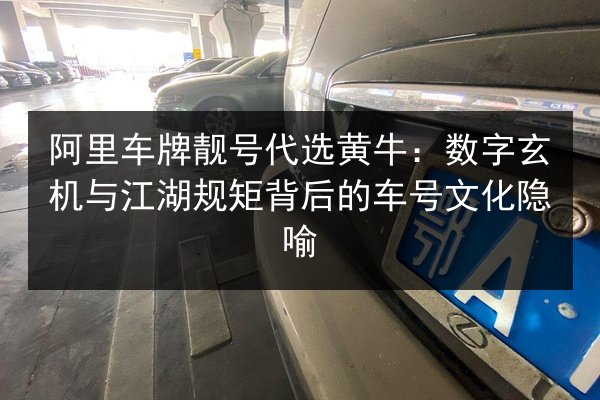 阿里车牌靓号代选黄牛：数字玄机与江湖规矩背后的车号文化隐喻 第2张