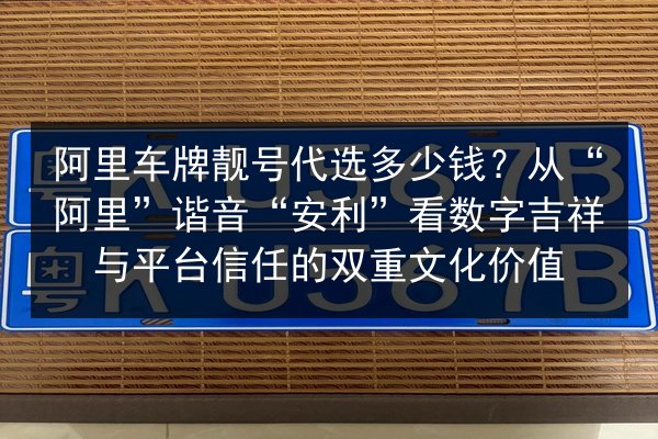 阿里车牌靓号代选多少钱？从“阿里”谐音“安利”看数字吉祥与平台信任的双重文化价值 第2张