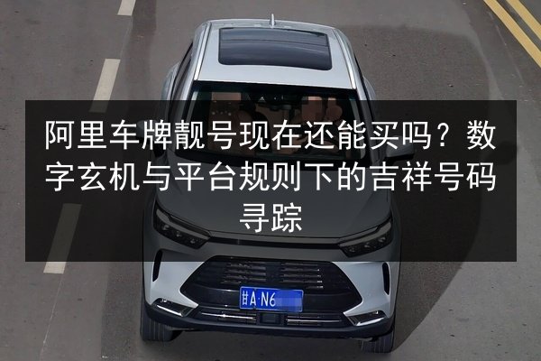 阿里车牌靓号现在还能买吗？数字玄机与平台规则下的吉祥号码寻踪 第1张