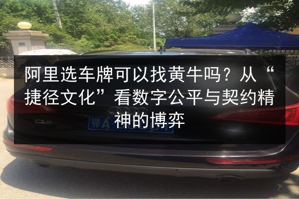 阿里选车牌可以找黄牛吗？从“捷径文化”看数字公平与契约精神的博弈 第2张