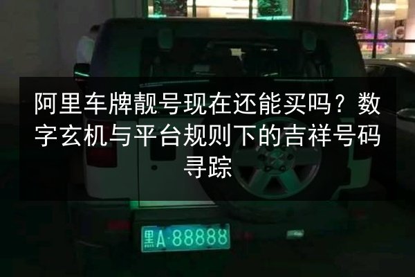 阿里车牌靓号现在还能买吗？数字玄机与平台规则下的吉祥号码寻踪 第2张