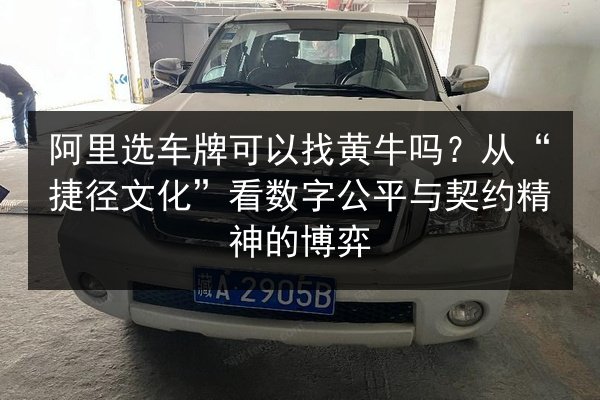 阿里选车牌可以找黄牛吗？从“捷径文化”看数字公平与契约精神的博弈 第3张
