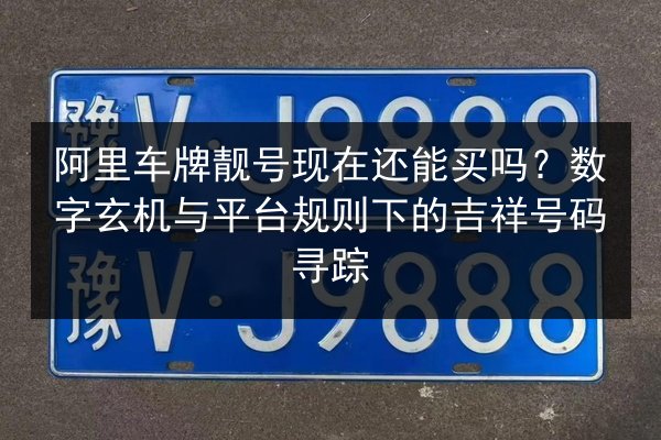 阿里车牌靓号现在还能买吗？数字玄机与平台规则下的吉祥号码寻踪 第3张