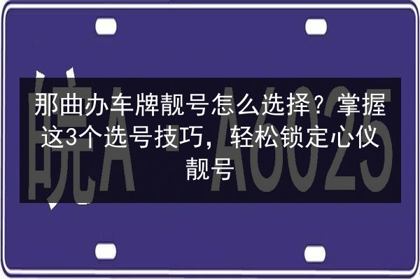 那曲办车牌靓号怎么选择？掌握这3个选号技巧，轻松锁定心仪靓号 第2张