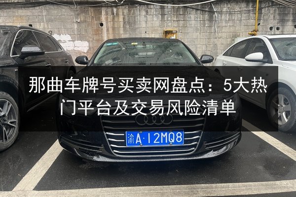那曲车牌号买卖网盘点：5大热门平台及交易风险清单 第2张