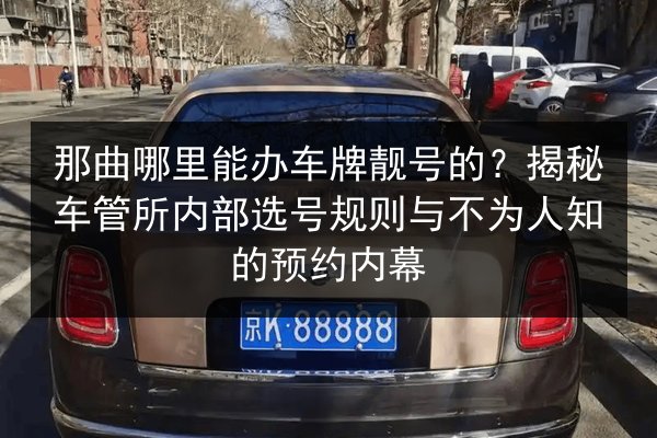 那曲哪里能办车牌靓号的？揭秘车管所内部选号规则与不为人知的预约内幕 第2张