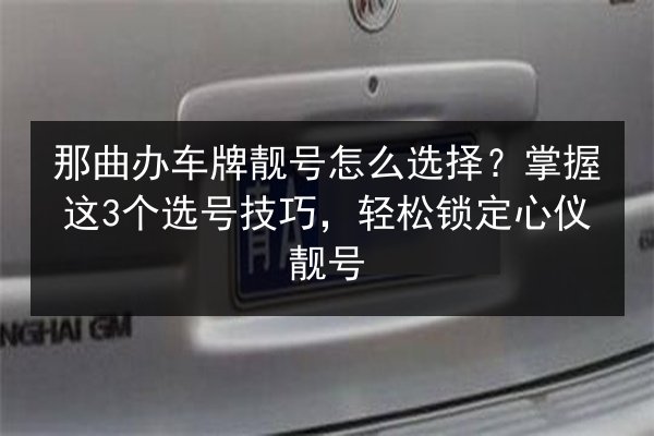 那曲办车牌靓号怎么选择？掌握这3个选号技巧，轻松锁定心仪靓号 第3张
