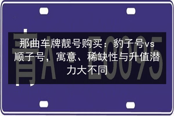 那曲车牌靓号购买：豹子号vs顺子号，寓意、稀缺性与升值潜力大不同 第3张
