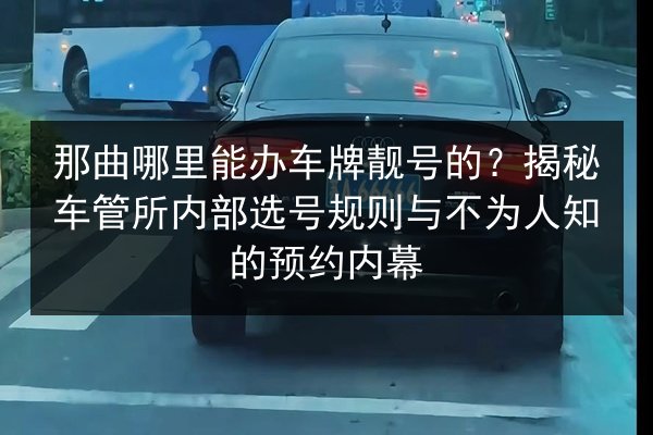 那曲哪里能办车牌靓号的？揭秘车管所内部选号规则与不为人知的预约内幕 第3张