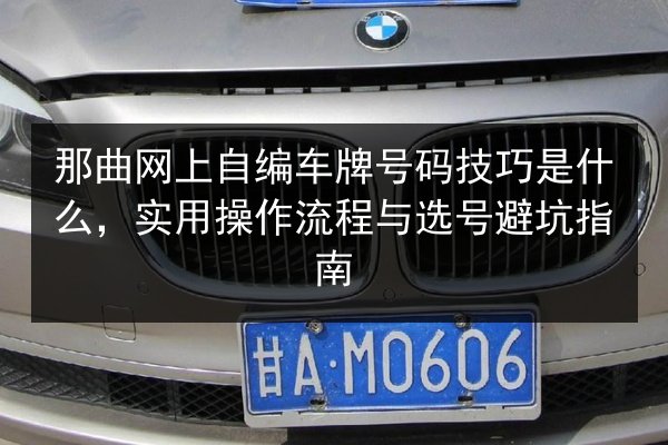 那曲网上自编车牌号码技巧是什么，实用操作流程与选号避坑指南 第3张