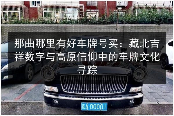 那曲哪里有好车牌号买:藏北吉祥数字与高原信仰中的车牌文化寻踪 第3张 那曲哪里有好车牌号买:藏北吉祥数字与高原信仰中的车牌文化寻踪 第3张