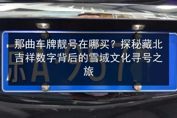 那曲车牌靓号在哪买？探秘藏北吉祥数字背后的雪域文化寻号之旅