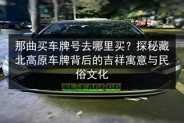 那曲买车牌号去哪里买？探秘藏北高原车牌背后的吉祥寓意与民俗文化 第2张
